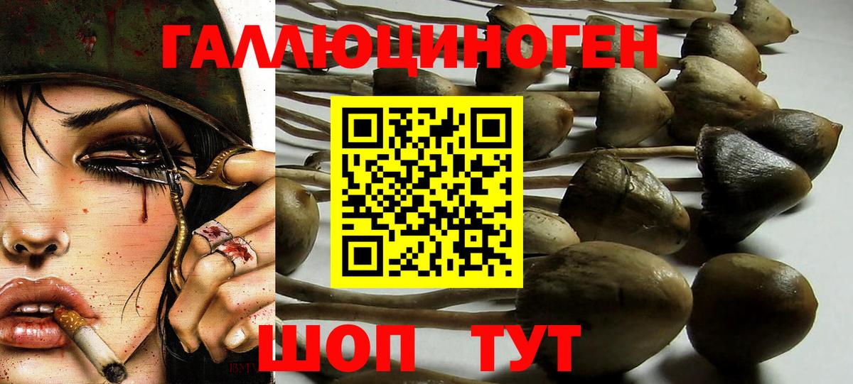 Галлюциногенные грибы Cubensis  Галлюциногенные грибы мухоморы  Вход с VPN  Аксай 